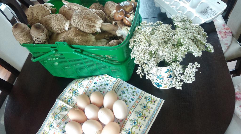 Agroturystyka Sominy Piotr Exterior foto